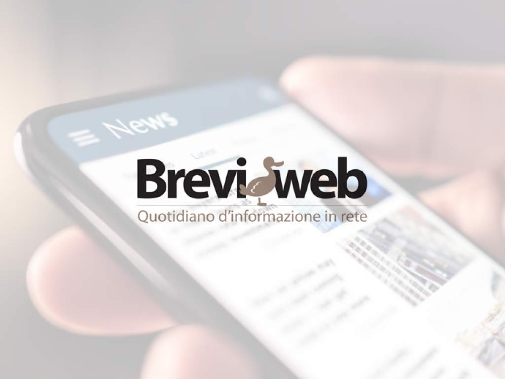 Brevi Web